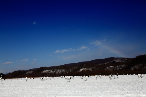 b0154361_20669.jpg