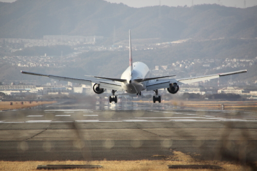 伊丹空港　千里川土手_c0197386_15593243.jpg