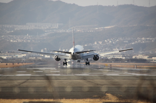 伊丹空港　千里川土手_c0197386_1559509.jpg