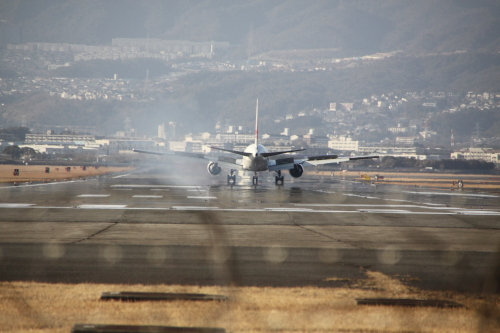 伊丹空港　千里川土手_c0197386_1602417.jpg