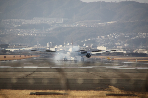 伊丹空港　千里川土手_c0197386_160939.jpg