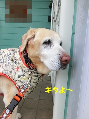 ☆祝☆ たくさんのオメデトウの日・・追加あり_e0222588_14325833.jpg