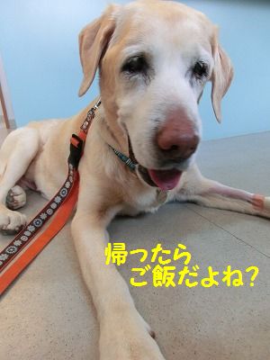 ☆祝☆ たくさんのオメデトウの日・・追加あり_e0222588_1437156.jpg