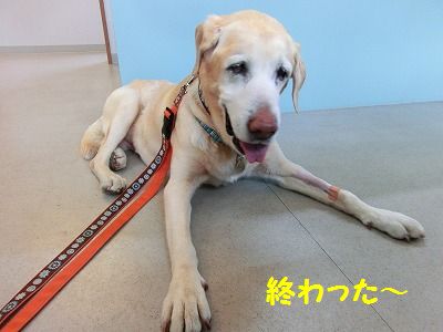 ☆祝☆ たくさんのオメデトウの日・・追加あり_e0222588_1437519.jpg