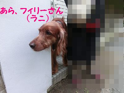 ☆祝☆ たくさんのオメデトウの日・・追加あり_e0222588_16501468.jpg