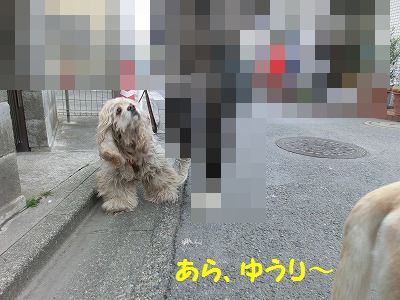 ☆祝☆ たくさんのオメデトウの日・・追加あり_e0222588_16502315.jpg