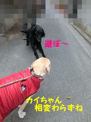 ☆祝☆ たくさんのオメデトウの日・・追加あり_e0222588_1650392.jpg
