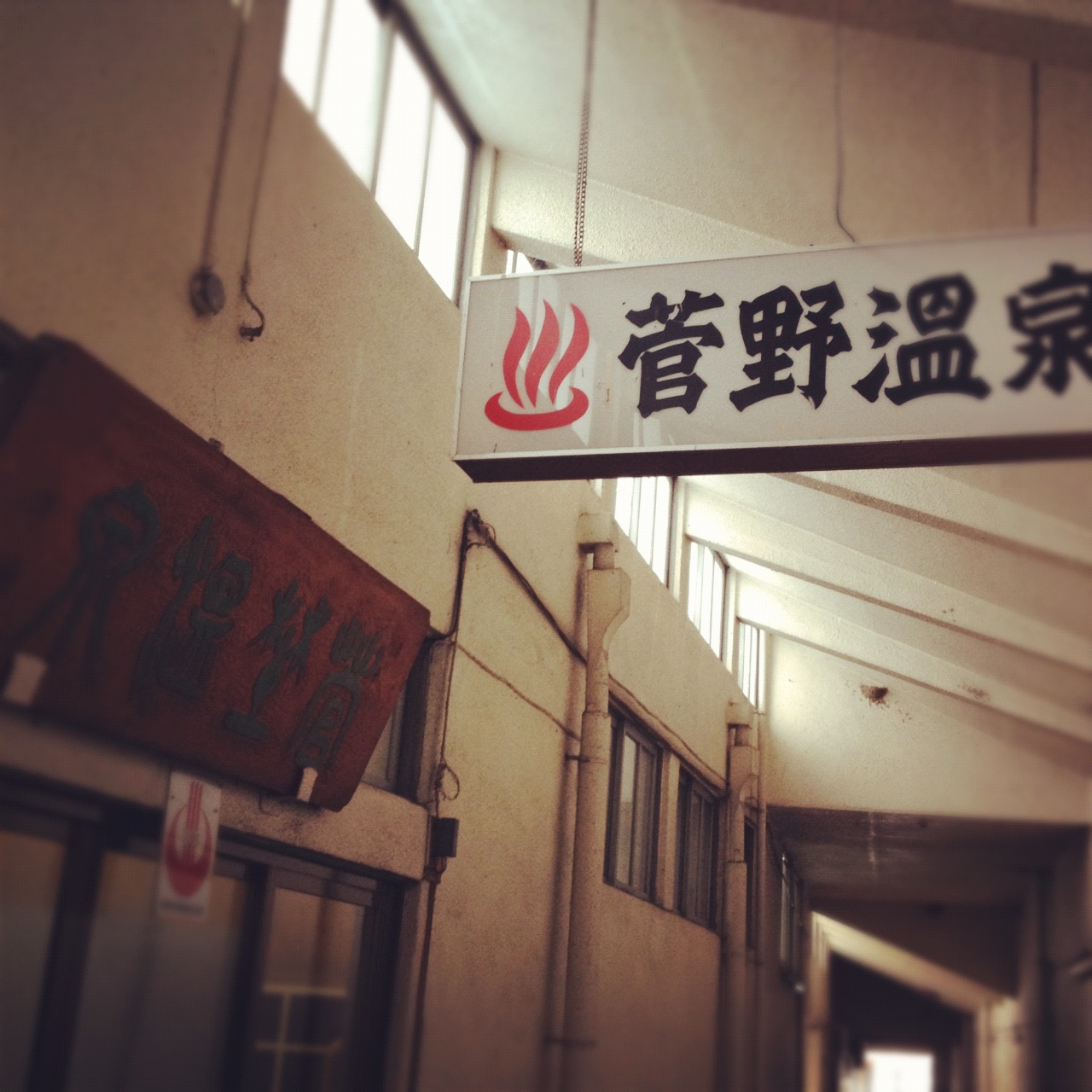 立春、酒蔵と古本、猫。_d0028589_11253858.jpg