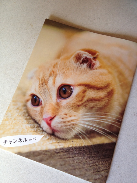 立春、酒蔵と古本、猫。_d0028589_11255290.jpg