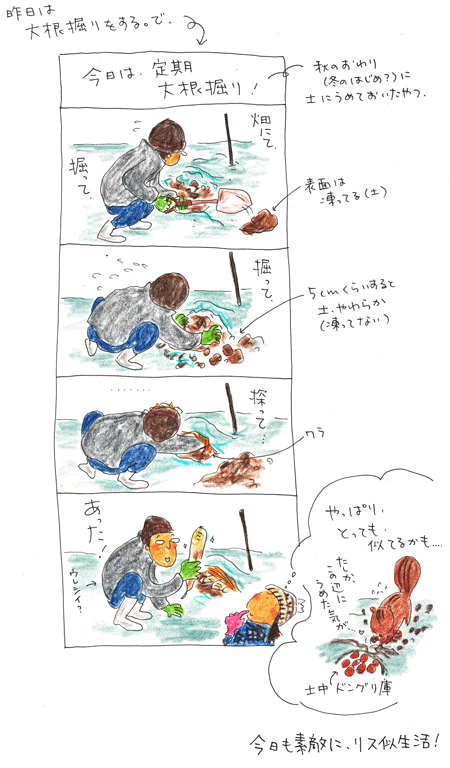 素敵な冬のリス似生活_f0236291_10335998.gif