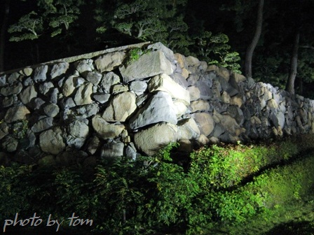 四国の旅～香川「玉藻公園」高松城Night Scene_b0155692_21583212.jpg