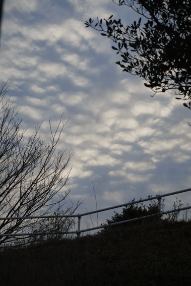 f0222692_8172823.jpg