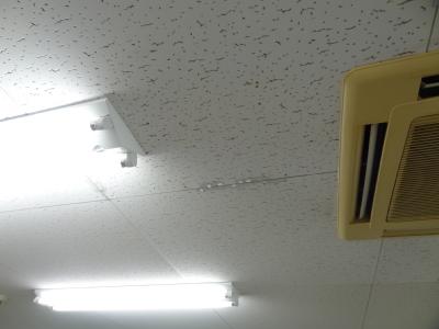 e0238095_1523637.jpg