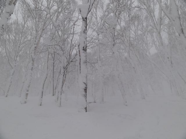 2012-13 ニセコレポート その7_c0151002_2327941.jpg