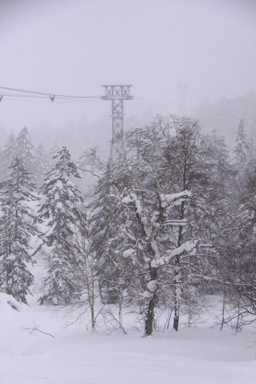 神々が遊ぶ庭・・・大雪山旭岳の冬景色・・・その3_d0248502_19234055.jpg