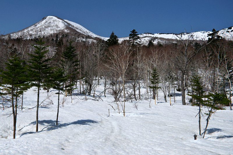 ホロホロ山～オロオロ山　　2012.4.28_f0200402_1733795.jpg