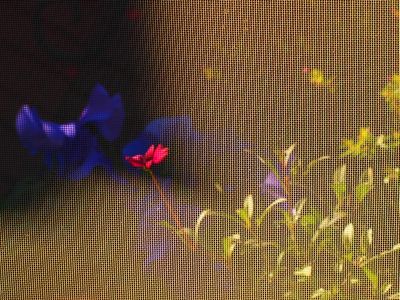 c0156908_0163846.jpg
