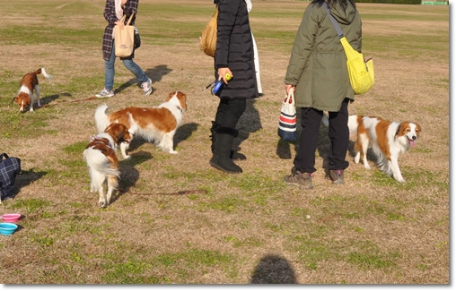冬のご近所コイケル会_c0065512_16391150.jpg