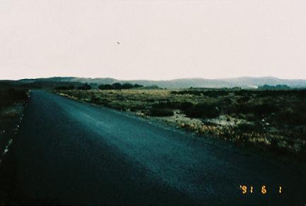 f0036820_1028592.jpg