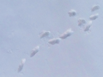 f0170524_1844441.jpg