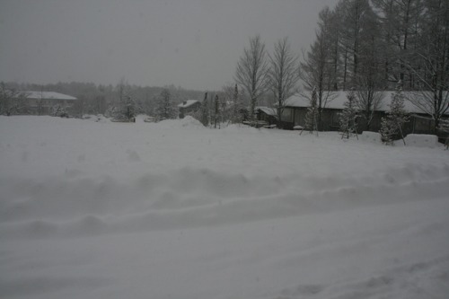 b0174425_19171065.jpg