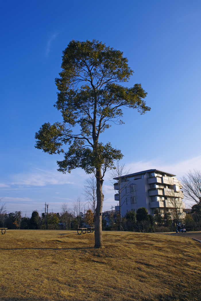 c0223825_21554963.jpg