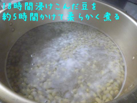 b0138430_10252555.jpg