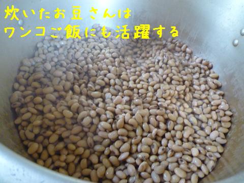 b0138430_10273154.jpg