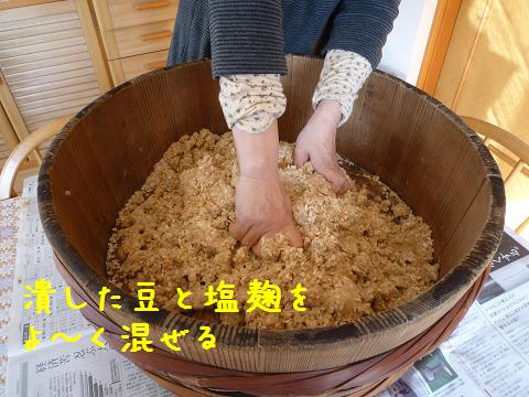 b0138430_10372877.jpg