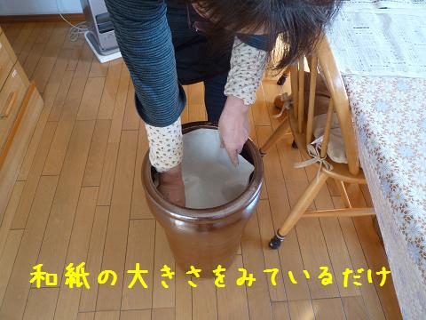 b0138430_1041862.jpg