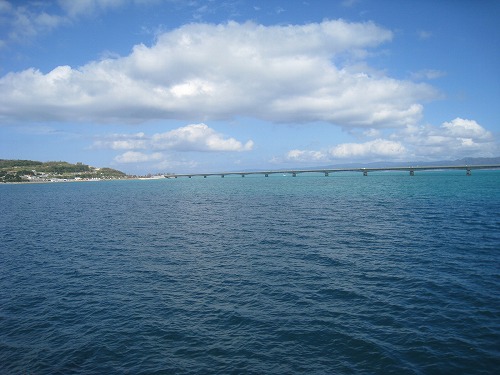 a0055835_2075177.jpg
