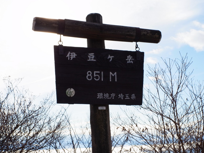 武川岳_f0251840_11545042.jpg