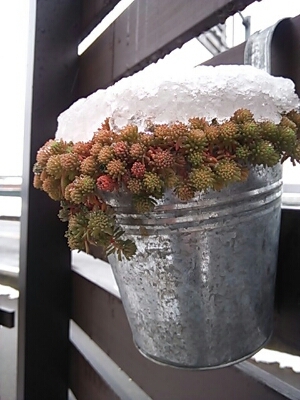 d0291663_1313306.jpg