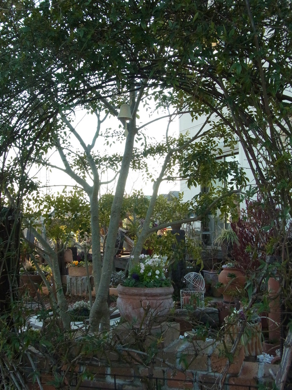b0194267_20541764.jpg