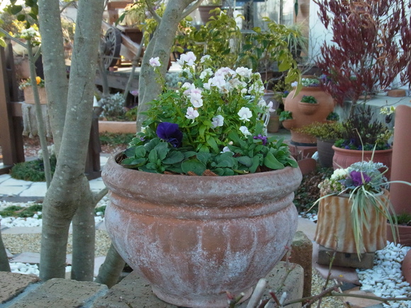 b0194267_2101228.jpg