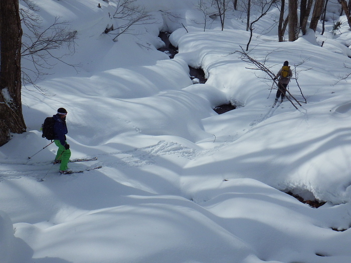 快楽と修行の鹿俣山　その２_e0292469_14564451.jpg