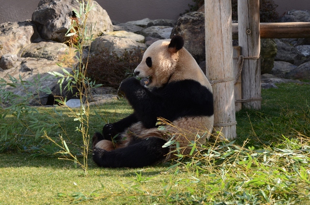 a0052986_7354148.jpg