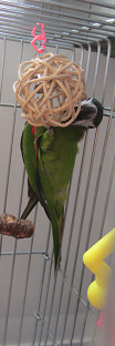 f0234590_10163940.png