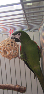 f0234590_10164532.png