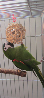 f0234590_10164965.png
