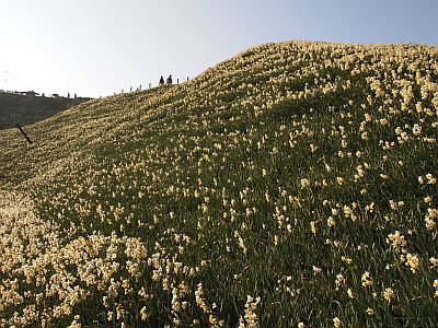 e0198197_1051261.jpg