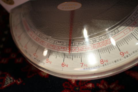 c0090198_3173822.jpg
