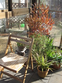 c0117898_10475331.jpg