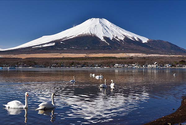 またまた・・富士山♪_a0044202_18575218.jpg