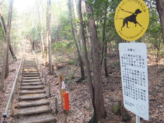 a0271502_20155222.jpg