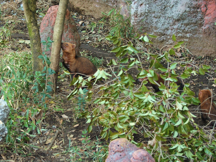 a0164204_032323.jpg