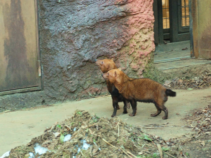 a0164204_06227.jpg
