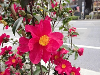 a0158805_23473439.jpg