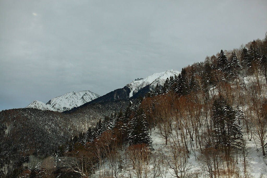 a0148606_12351455.jpg