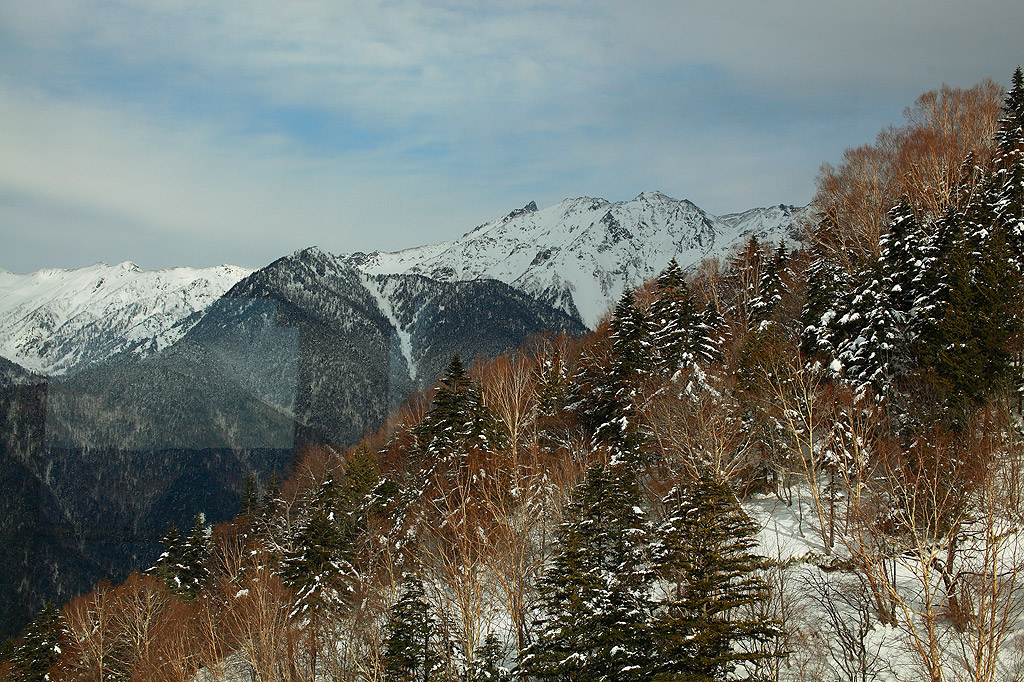 a0148606_12354543.jpg